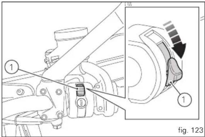 1 1 fig. 123