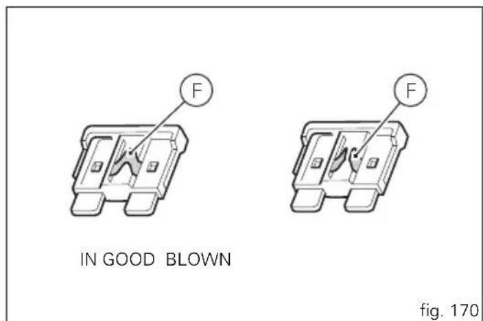 F IN GOOD BLOWN Fig. 170