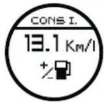 CONS I. 13.1 Km/l +/-
