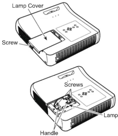 Lamp Cover Screw Screws Handle Lamp