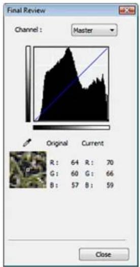 Final Review Channel : Master Original Current R: 64 R: 70 G: 60 G: 66 B: 57 B: 59 Close