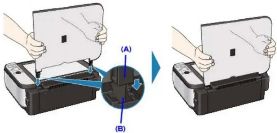 (A) (B)