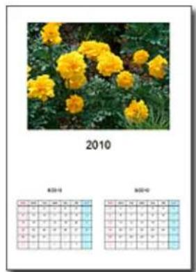 Two-panel image: top shows a photo of yellow flowers in green, bottom displays a grid with colored squares (no text or symbols)