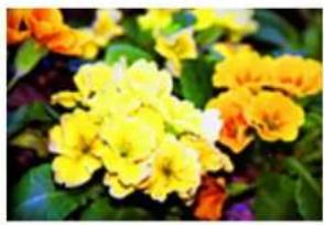 EDIFIER MP250 - Saturation - 4