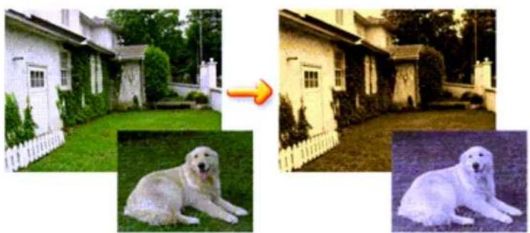 Composite image showing a white house with greenery, an orange arrow pointing to a building facade, and two separate close-up photos of a dog (no text or symbols)