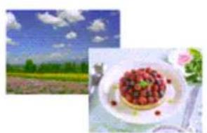 Two-panel image: left shows a red bowl of red berries on a white plate, right shows a green plant with flowers and leaves under a blue sky (no text or symbols)