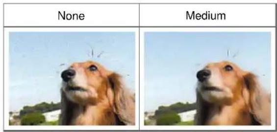 None Medium