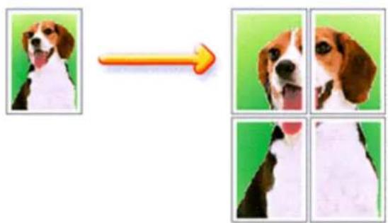 Image sequence showing a dog with a red arrow pointing to four separate images of the same dog, likely for image processing or categorization.