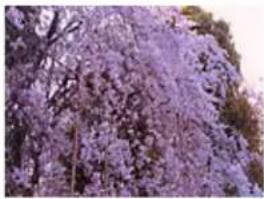 EDIFIER MP250 - Color Adjustment - 3