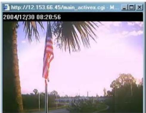 Intellinet Wireless Network IP Camera 550703 - ③ SHOW ONLY IMAGE - 1