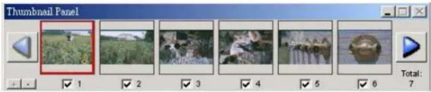 Thumbnail Panel 1 2 3 4 5 6 Total: 7