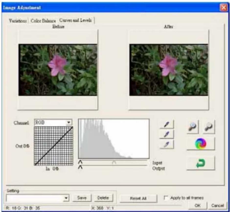 Image Adjustment Variations Color Balance Curves and Levels Before After Channel: RGB Out 0% In 0% Input Output Setting Save Delete Reset All Apply to all frames R: 18 G: 31 B: 35 X: 368 Y: 1 OK Cancel