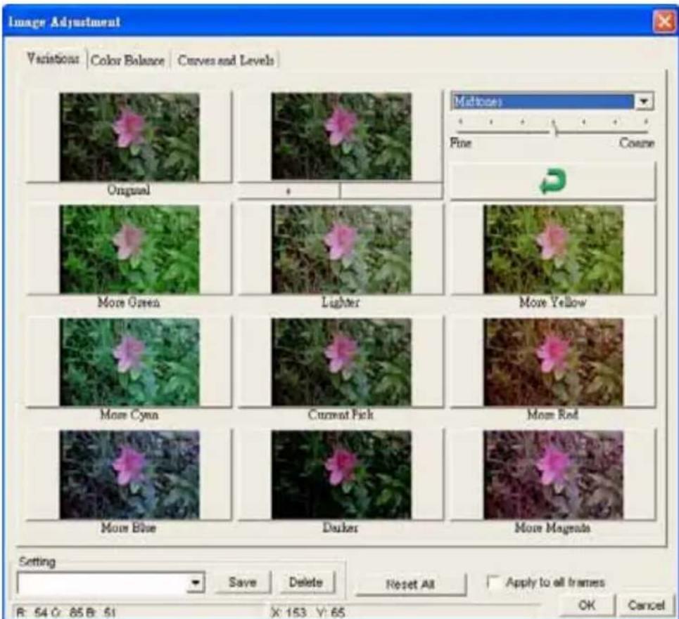 Image Adjustment Variations | Color Balance | Curves and Levels | Original More Green Lighter More Yellow More Cynn Current Pick More Red More Blue Darker More Magnets Settng Save Delete Reset All Apply to all frames R: 54 C: 65 B: 51 X: 153 Y: 65 OK Cancel