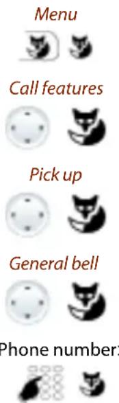 Menu Call features Pick up General bell Phone number: