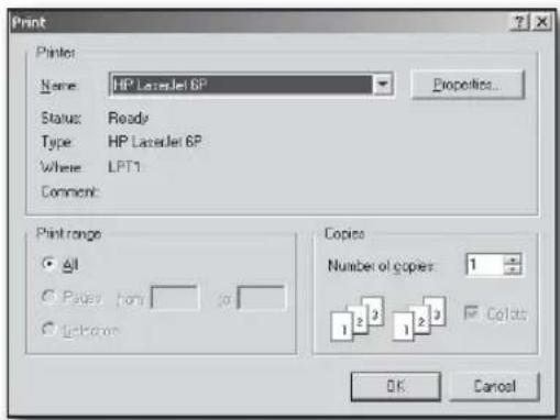 Print Prints: Name: HP LaserJet 6P Status: Ready Type: HP LaserJet 6P Where: LPT1 Comment: Print range All Pages from 10 Lockers Copies Number of copies 1 1 2 3 1 2 3 Colors OK Cancel