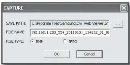 CAPTURE SAVE PATH: C:\Program Files\Samsung\Dvr Web Viewer\Sr FILE NAME: 192.168.1.200_55+_2011010J_134132_01_00 FILE TYPE: BMP JPEG OK Cancel
