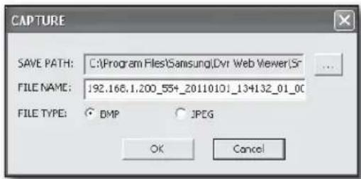 CAPTURE SAVE PATH: C:\Program Files\Samsung\Dvr Web Viewer\Sr FILE NAME: 192.168.1.200_55+_20110101_13+132_01_00 FILE TYPE: DMP JPEG OK Cancel