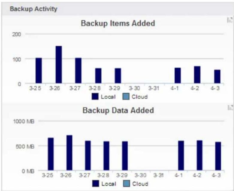 Barracuda Networks Backup Server 390 - Backup Activity Section - 1