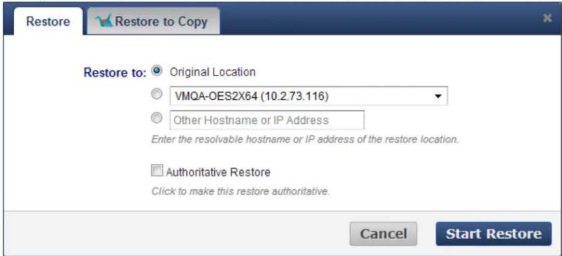 Restore Restore to: Original Location VMQA-OES2X64 (10.2.73.116) Other Hostname or IP Address Enter the resolvable hostname or IP address of the restore location. Authoritative Restore Click to make this restore authoritative. Cancel Start Restore