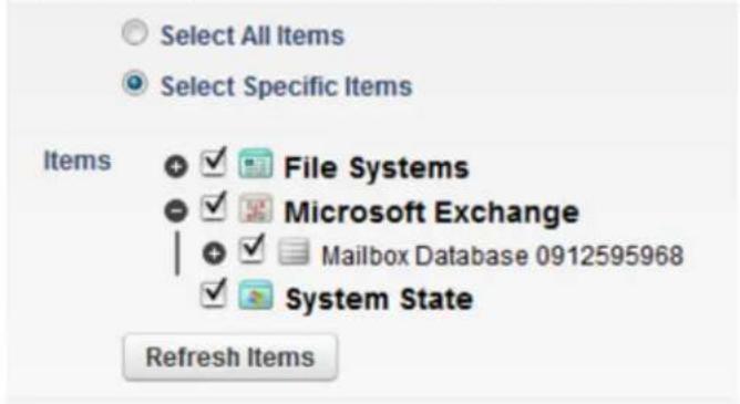 Select All Items Select Specific Items Items File Systems Microsoft Exchange Mailbox Database 0912595968 System State Refresh Items