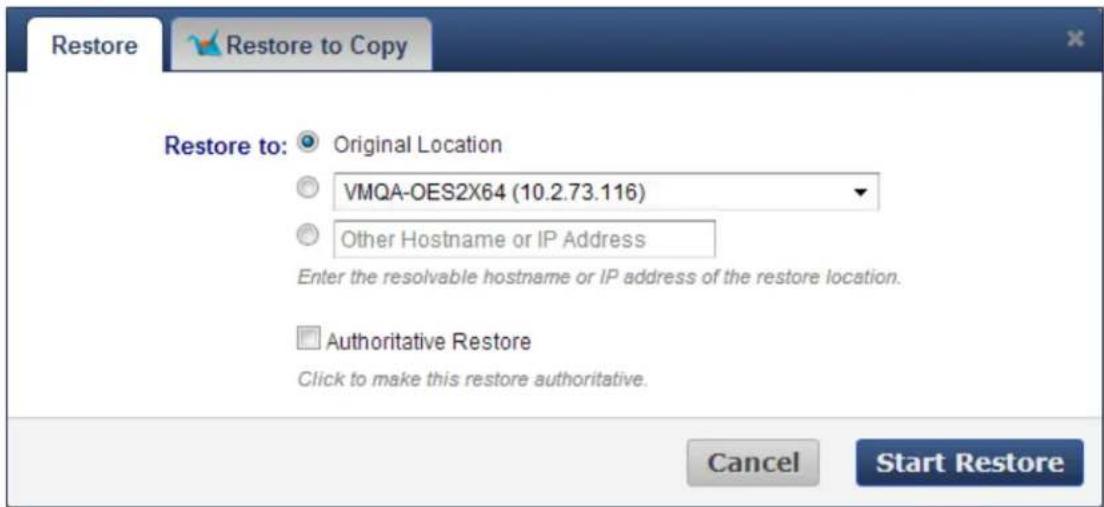 Restore Restore to: Original Location VMQA-OES2X64 (10.2.73.116) Other Hostname or IP Address Enter the resolvable hostname or IP address of the restore location. Authoritative Restore Click to make this restore authoritative. Cancel Start Restore