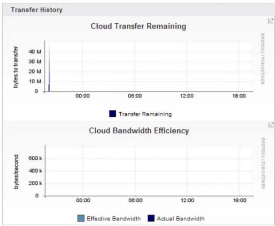 Barracuda Networks Backup Server 390 - Transfer History - 1
