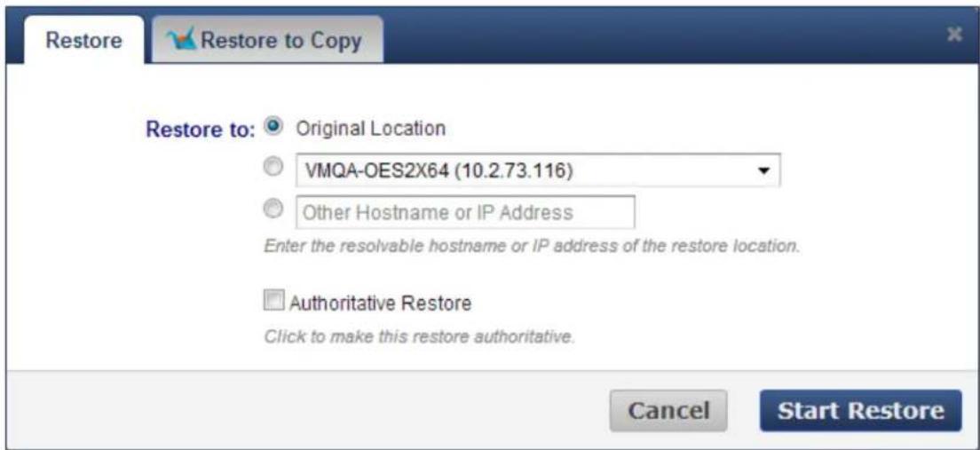 Restore Restore to: Original Location VMQA-OES2X64 (10.2.73.116) Other Hostname or IP Address Enter the resolvable hostname or IP address of the restore location. Authoritative Restore Click to make this restore authoritative. Cancel Start Restore