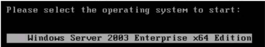 Please select the operating system to start: Windows Server 2003 Enterprise x64 Edition