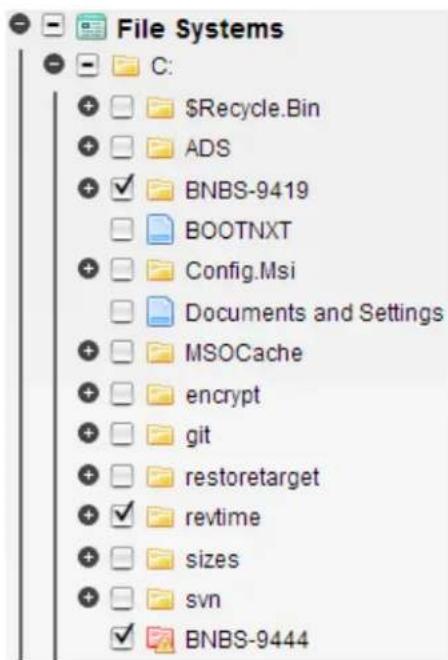 File Systems C: +$Recycle.Bin + ADS + BNBS-9419 BOOTNXT + Config.Msi Documents and Settings + MSOCache + encrypt + git + restoretarget + revtime + sizes + svn + BNBS-9444
