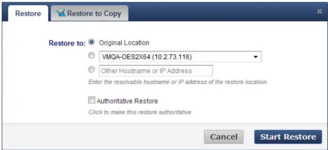 Restore Restore to: Original Location VMQA-OES2X64 (10.2.73.116) Other Hostname or IP Address Enter the resolvable hostname or IP address of the restore location. Authoritative Restore Click to make this restore authoritative. Cancel Start Restore