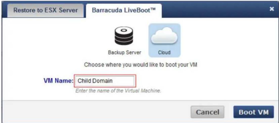 Restore to ESX Server Barracuda LiveBoot™ Backup Server Cloud Choose where you would like to boot your VM VM Name: Child Domain Enter the name of the Virtual Machine. Cancel Boot VM