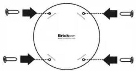 Brickcom