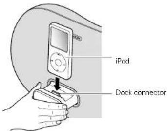iPod Dock connector