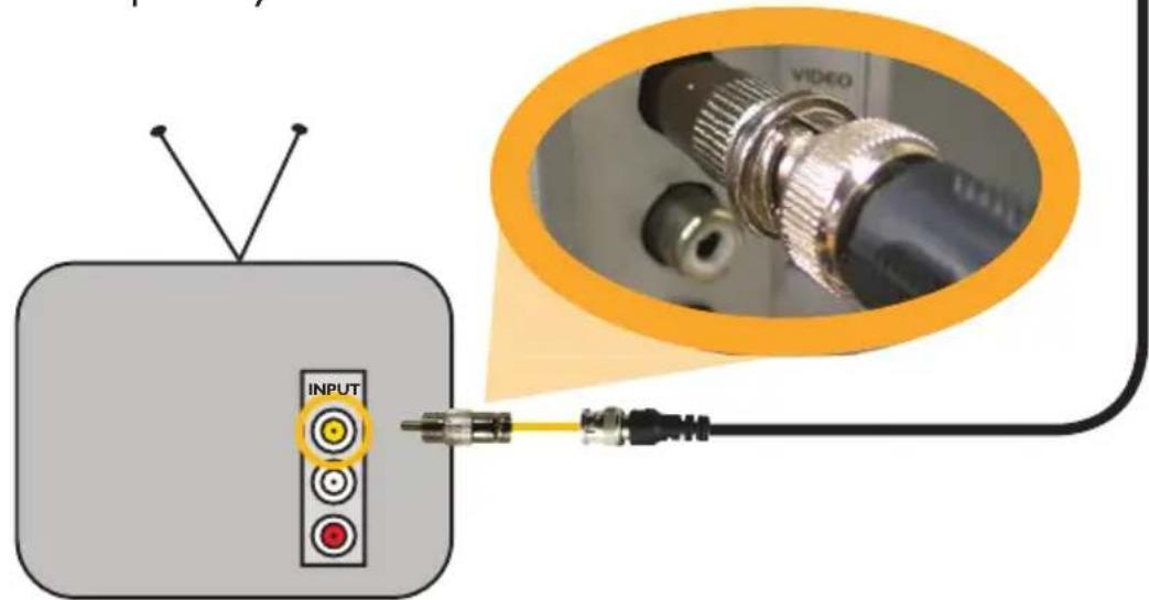 INPUT VIDEO