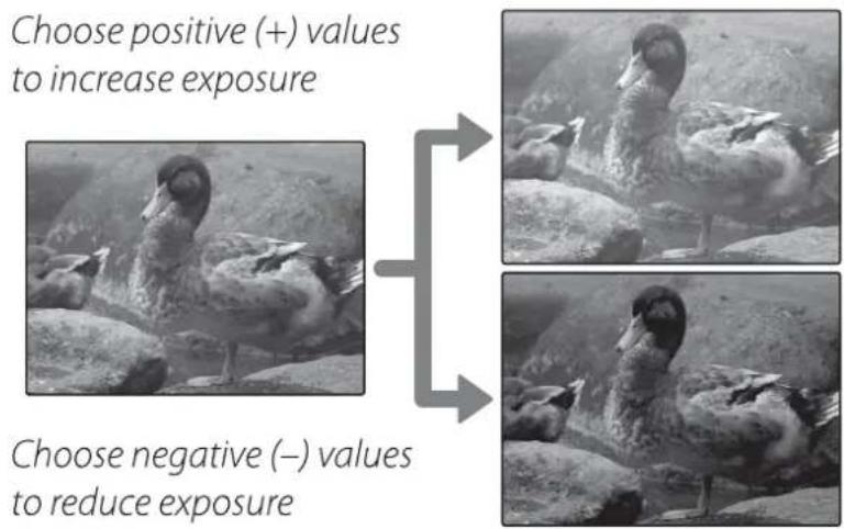Choose positive (+) values to increase exposure Choose negative (−) values to reduce exposure