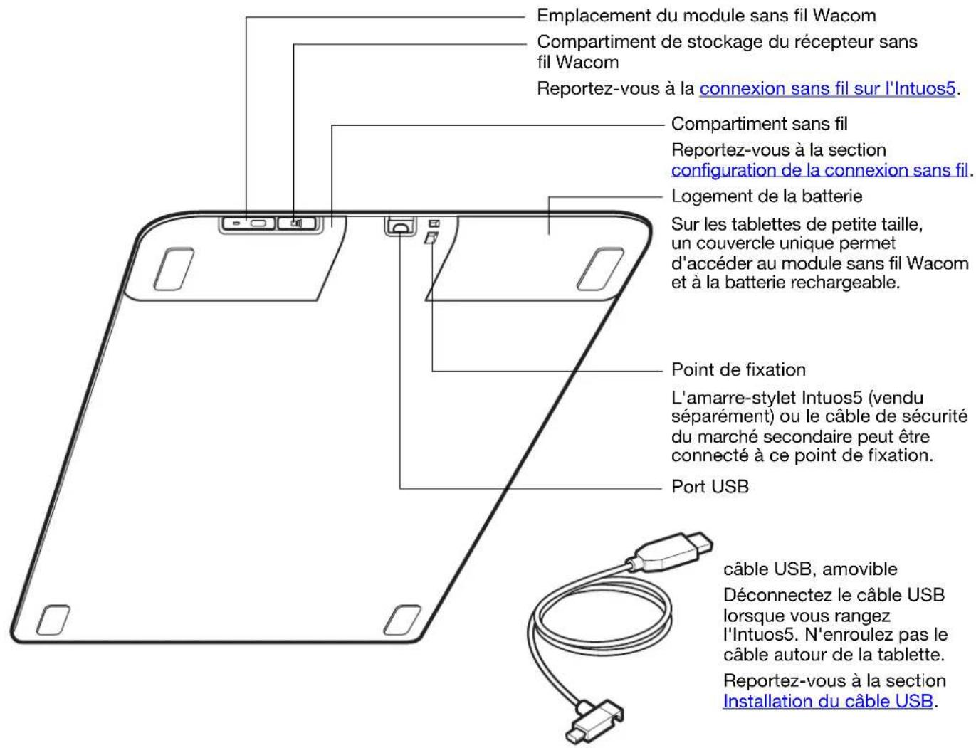 Emplacement du module sans fil Wacom Compartiment de stockage du récepteur sans fil Wacom Reportez-vous à la connexion sans fil sur l'Intuos5. Compartiment sans fil Reportez-vous à la section configuration de la connexion sans fil. Logement de la batterie Sur les tablettes de petite taille, un couvercle unique permet d'accéder au module sans fil Wacom et à la batterie rechargeable. Point de fixation L'amarre-stylet Intuos5 (vendu séparément) ou le câble de sécurité du marché secondaire peut être connecté à ce point de fixation. Port USB câble USB, amovible Déconnectez le câble USB lorsque vous rangez l'Intuos5. N'enroulez pas le câble autour de la tablette. Reportez-vous à la section Installation du câble USB.