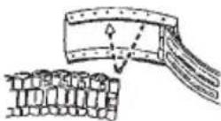 TIMEX T2N834 - FOLDOVER CLASP BRACELET - 2