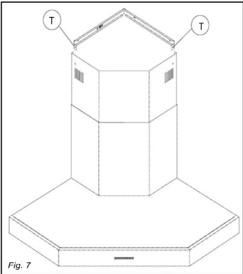 Foster Pitagora - Prior to operation 7d: - 1