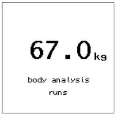 67.0kg body analysis runs