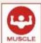SOEHNLE Body Balance Comfort Select 63760 4 - Operating Instructions - 4