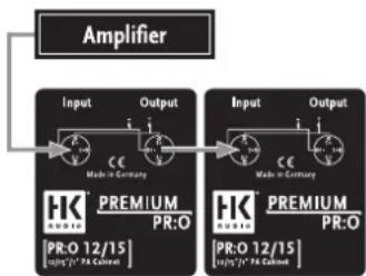 graph LR A["Amplifier"] --> B["Input"] A --> C["Output"] B --> D["HK RUBIO"] C --> E["HK RUBIO"] D --> F["PR:O 12/15"] E --> G["PR:O 12/15"] F --> H["PR:O 12/15"] G --> I["PR:O 12/15"] H --> J["PR:O 12/15"] I --> K["PR:O 12/15"] J --> L["PR:O 12/15"] K --> M["PR:O 12/15"] L --> N["PR:O 12/15"] M -->…