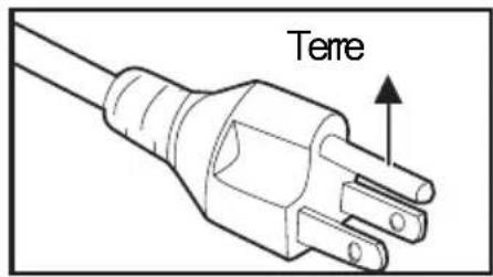 Terre