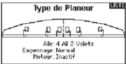 Type de Planeur Aile: 4 All 2 Volets Empennage: Normal Moteur: Inactif