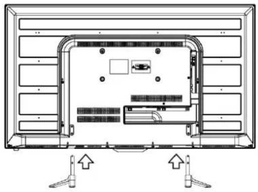 Dyon Enter 40 - Stand mounting - 1