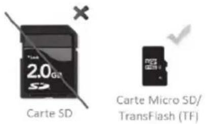 Carte SD 2.0G Carte Micro SD/ TransFlash (TF)