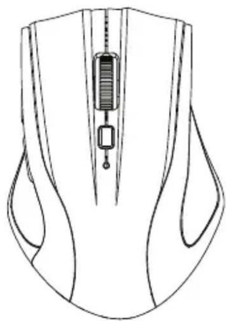 Line drawing of a computer mouse head with internal components (no text or symbols)