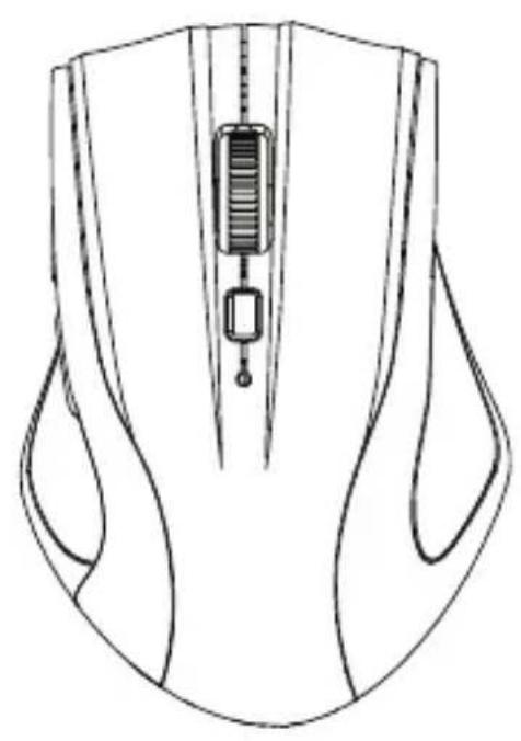 Line drawing of a computer mouse head with internal components (no text or symbols)