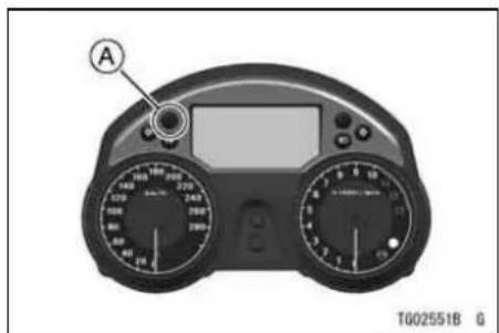 A T002551B G