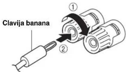 Clavija banana ① ②