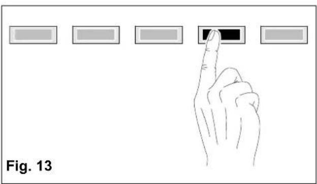 Fig. 13